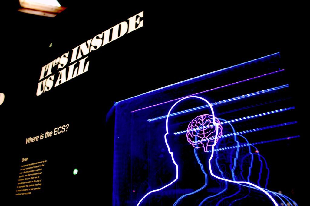 led light outline of a brain