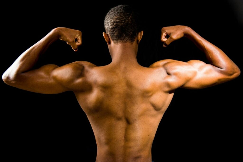muscles on a mans back